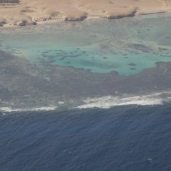 GorginiaBeach2012003