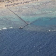 GorginiaBeach2012004