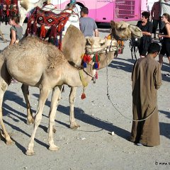HurghadaMakadi2007006