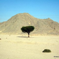 HurghadaMakadi2007010