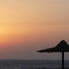Marsa Alam Egypt 2010