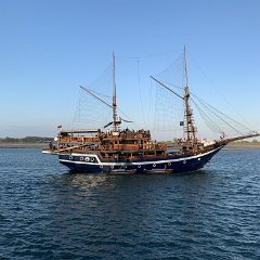 IMG_1556